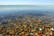 coast