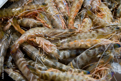 Photo: langostinos tigre langostinos tigre