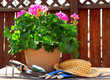 gardening tools