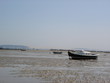 plage et pinasse