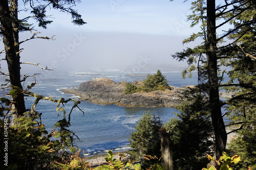 foggy pacific coast