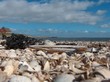 muschelstrand nordsee