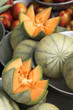 cantaloupe melons at the market