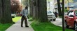 brushcutter