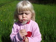 dandelion