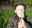 boy holding dandelions