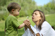 blowing dandelion