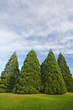 four trees