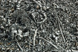 iron filings