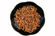 dry provender for fish