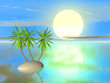 sea and island with palm