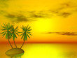 sunset in tropics
