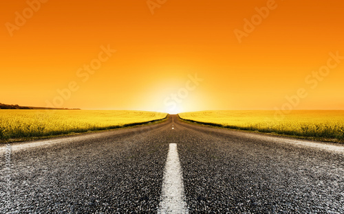 Photo: canola road sunset canola road sunset