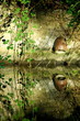 Photos : reflet verdure