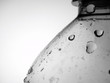 flasche in s/w