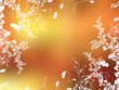 extreme colour no.2