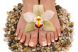 feet and orchid