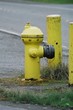fire hydrant fire hydrant