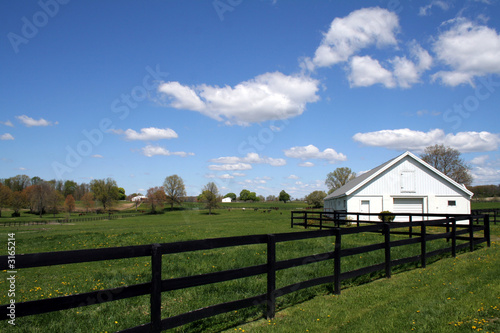 horse farm horse farm