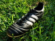 soccer shoe soccer shoe