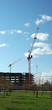 cranes cranes