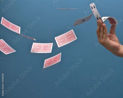 Photo: fly away fly away