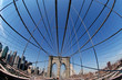 new york new york