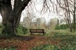 comme un arbre devant la ville