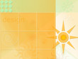 melon colors in design melon colors in design