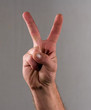 a hand showing the peace sign