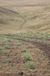 Foto: dirt road dirt road