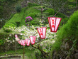 line of lanterns