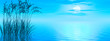 water plants