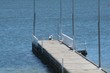 pier fishing