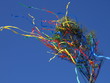 maibaum