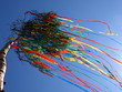 maibaum