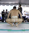 sumo wrestlers 11