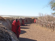 massai hut village, serengeti park, tanzania