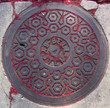 petals on a storm drain lid 3
