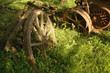old mechanism used at farm