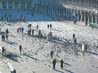 crowd of pigeon birds and people on a place, saint marc place, v