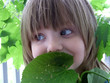 girl leafling