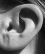 ear