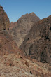 mount sinai