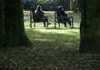 im park