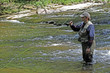 fisher in river