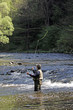fisher in river