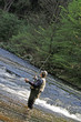 fisher