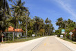 tropical road