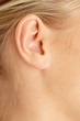 ear of blond